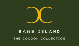 Company Logo 11