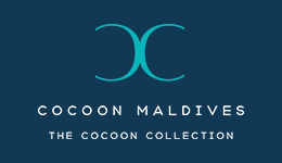 Company Logo 13