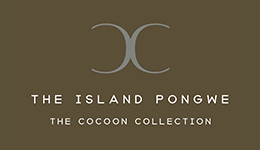 Company Logo 6
